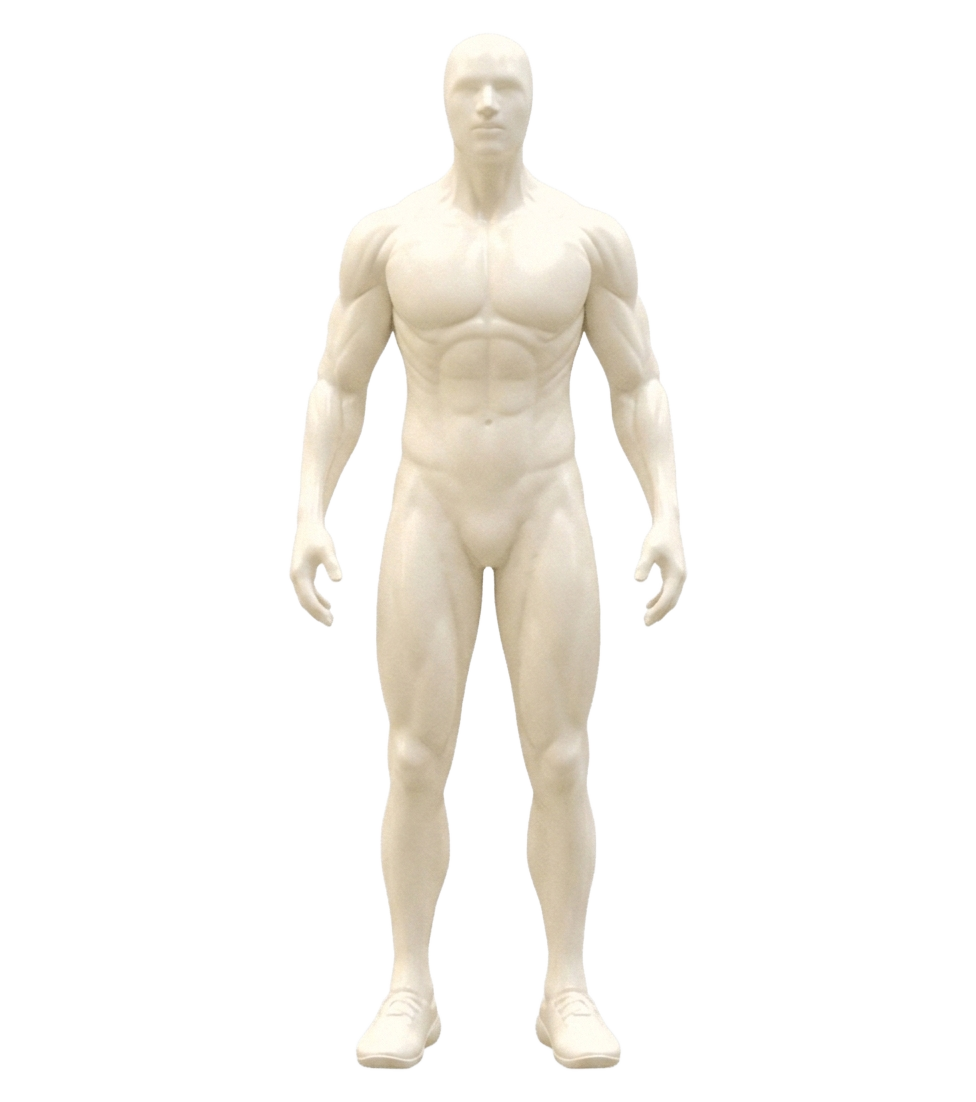 corpo mente sanapsy